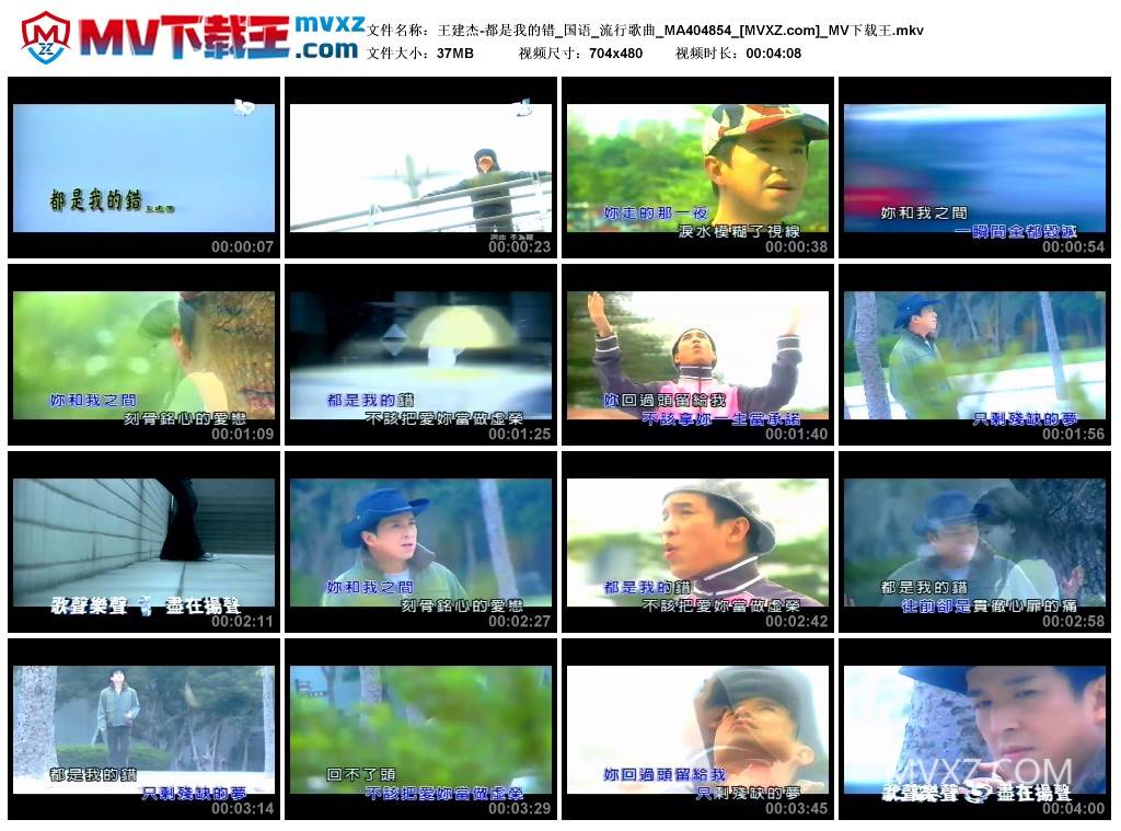 王建杰-都是我的错_国语_流行歌曲_MA404854